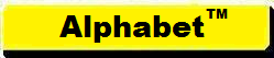 Wichita Lady Notary